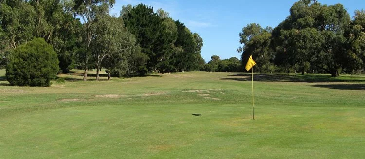 Around St Leonards Golf Club (16th, par 3)